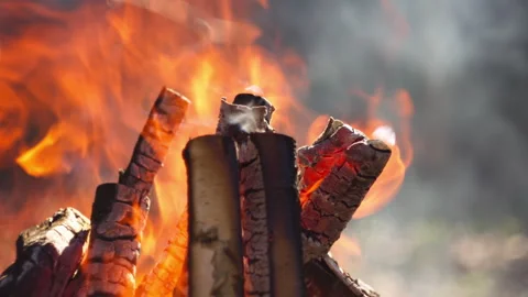 Campfire burning in grill, forest close-up, smoke rising, natural spring light Video stock 332554293