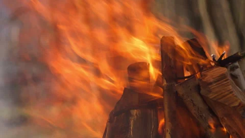 Campfire burning in grill, forest close-up, smoke rising, natural spring light Stock-Footage 332554394