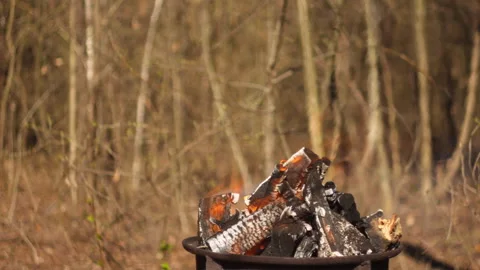 Campfire burning in grill, forest close-up, smoke rising, natural spring light Video stock 332554461
