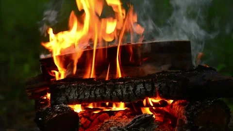 Campfire Burning Logs with Bright Flames and Wood Crackling Sound Stock Footage 341980585