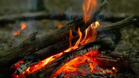 Campfire Burning Logs with Bright Flames and Wood Crackling Sound Video stock 342012033