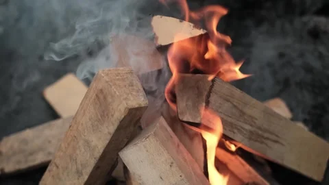 Campfire burning logs, preparing coals for a barbecue in the great outdoors. Stock Footage 280186538