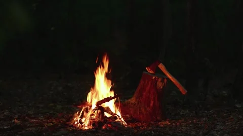 Campfire Burning Next to Stump with Axe in Dark Forest Seamless Loop with Sound 库存影片 344951096