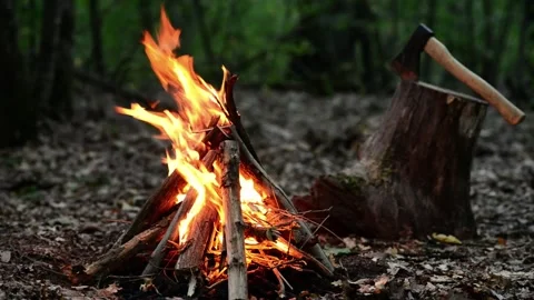 Campfire Burning Next to Stump with Axe in Dark Forest with Sound Stock-Footage 344951244