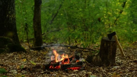 Campfire Burning Next to Wood Stump and Axe in Forest Loop. Video stock 343608043