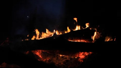 Campfire burning at night in a camp in the forst Stock Footage 122070936