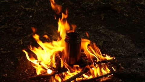 Campfire Burning at Night. Camping in the Forest Stock Footage 109680076