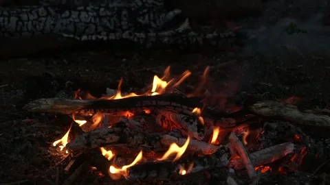 Campfire Burning at Night. Dark Forest Campfire Video stock 306853481