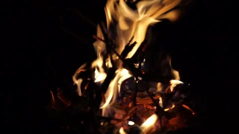 Campfire burning in the night during camping Stock Footage 138549202