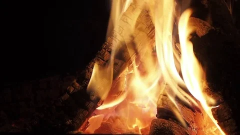 Campfire is burning in the night. Fire in fireplace - close up Vidéo 84294540