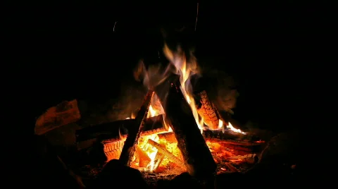 Campfire burning at night Stock Footage 512270