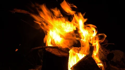 Campfire burning at night Stock Footage 93178609