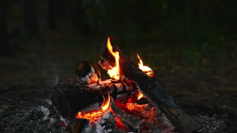 Campfire burning in the night forest with glowing flames close up 動画素材 345121949