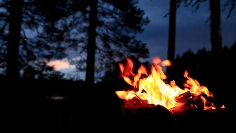 Campfire burning in the night. Inside a forest in the Swedish wilderness. Stock Footage 92900650