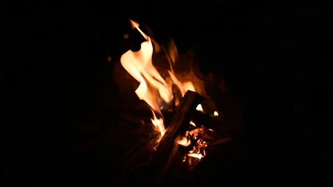 Campfire Burning at Night, Warm Fire Flames in Dark Outdoor Scene Stock Footage 329106428