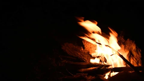 Campfire Burning at Night, Warm Fire Flames in Dark Outdoor Scene Stock Footage 329106467