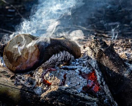 A campfire burning out. Stock Photos