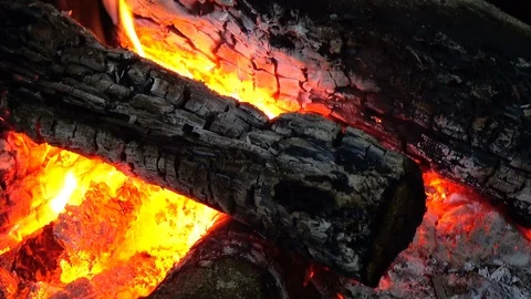 Campfire burning outdoors Stock Footage 95788862