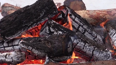 Campfire, burning pine logs. Stock Footage 74622687
