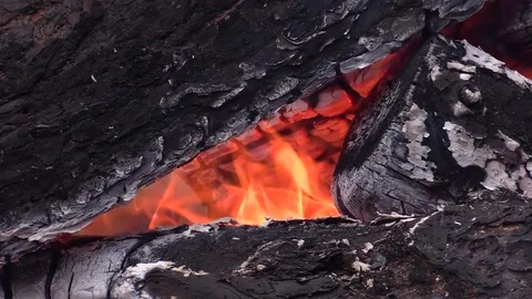 Campfire, burning pine logs. Stock Footage 74622691