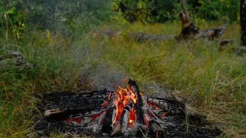 Campfire Burning with Smoke in Summer Meadow Loop Video stock 342897844