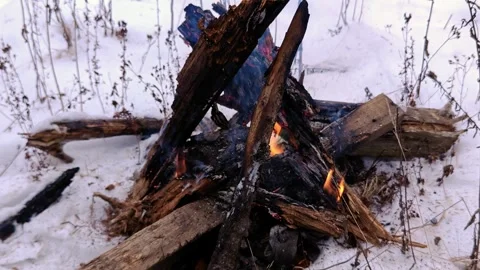Campfire burning on the snow in winter forest. Stock Footage 334239328