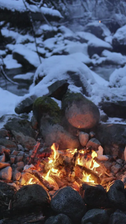 Campfire Burning in Snowy Winter Forest by River | Vertical 4K Clip Stock Footage 311945854