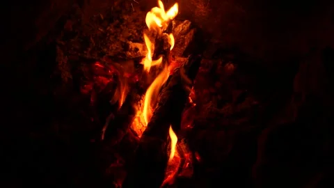 Campfire with burning sticks in darkness, glowing embers and flickering flames Stock Footage 321890717