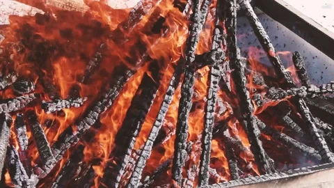 Campfire burning on a windy winter day Stock Footage 79179583