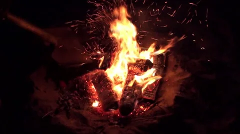 Campfire Burning Wood Closeup Video stock 43760246