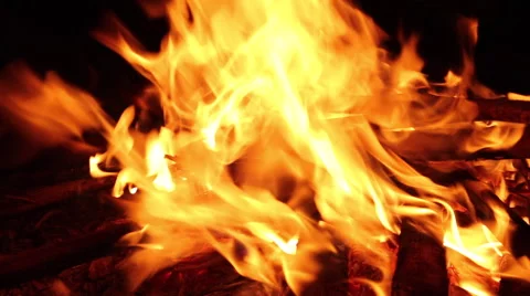 Campfire burning wood Stock Footage 46996978