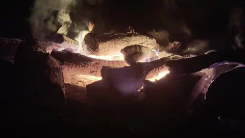 Campfire / Burning Wood Stockbeeldmateriaal 317727327