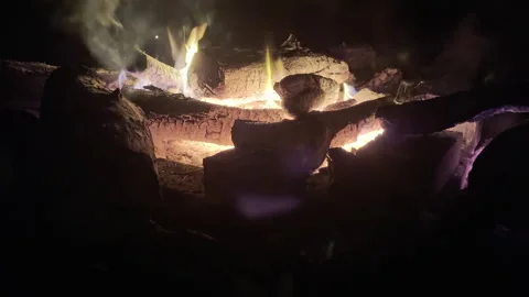 Campfire / Burning Wood Stock Footage 317727475