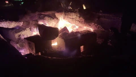 Campfire / Burning Wood Stock Footage 317727589