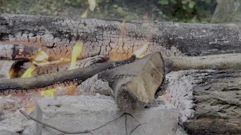 Campfire / Burning Wood 库存影片 317728051