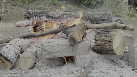 Campfire / Burning Wood Stock Footage 317728095