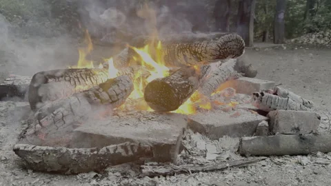 Campfire / Burning Wood Vidéo 317728284