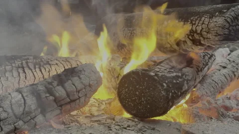 Campfire / Burning Wood 库存影片 317728295
