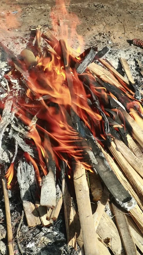 A campfire burns with bright flames amidst charred wood and ashes Stock Footage 331417391