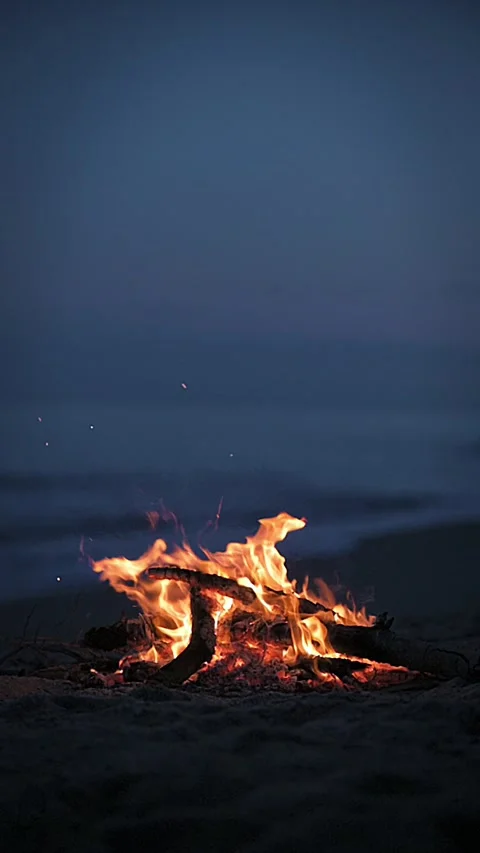 A campfire burns on a deserted sandy beach at the seashore in the evening Stock Footage 254800635
