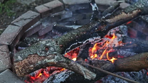 Campfire burns logs in a stone circle during evening hours providing light and Stock Footage 334159151