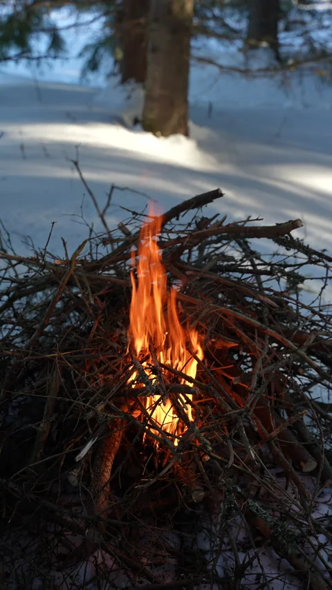 Campfire burns in a pile of dry branches Stock-Footage 329969289