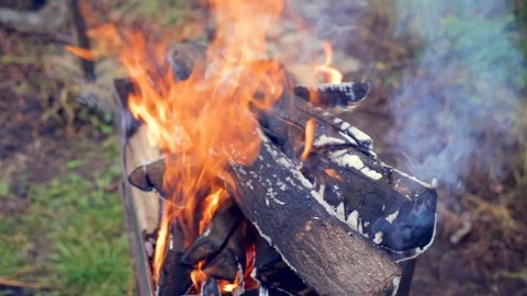 Campfire camp fire summer burning fire campfire Video stock 82391893