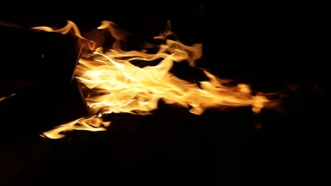 Campfire camp fire summer burning fire. Burning at Night. Stock Footage 85866049