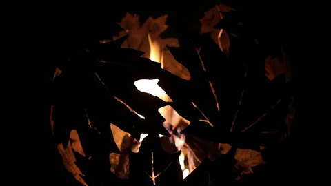 Campfire camp fire summer burning fire. Burning at Night. Stock Footage 85866110