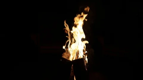 Campfire camp fire summer burning fire. Burning at Night. Stock Footage 85866416