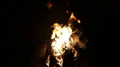 Campfire camp fire summer burning fire. Burning at Night. Stock Footage 85866582