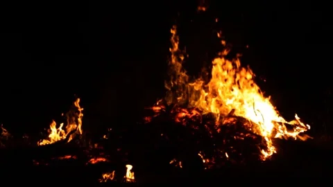 Campfire camp fire summer burning  In Phuket Thailand Stock Footage 110706298