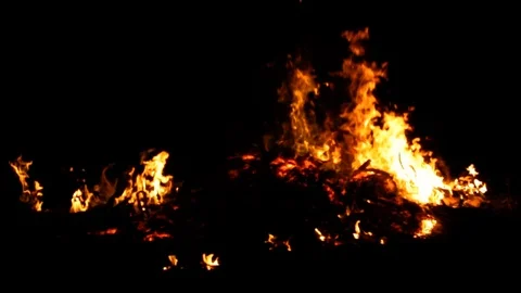 Campfire camp fire summer burning  In Phuket Thailand Stock Footage 110706335