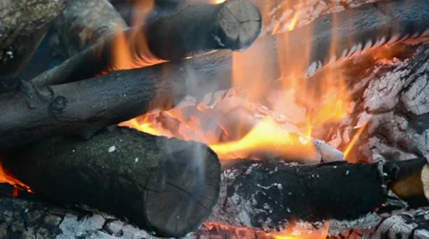 Campfire in camping, fire and lags closeup Stock Footage 39460178